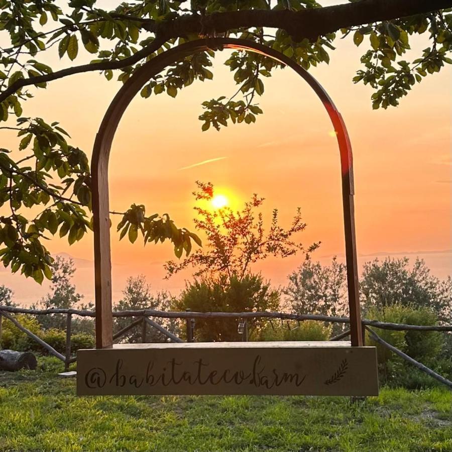 ホテル Habitat Eco Farm ソレント エクステリア 写真