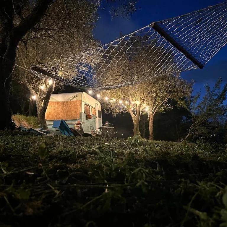 ホテル Habitat Eco Farm ソレント エクステリア 写真